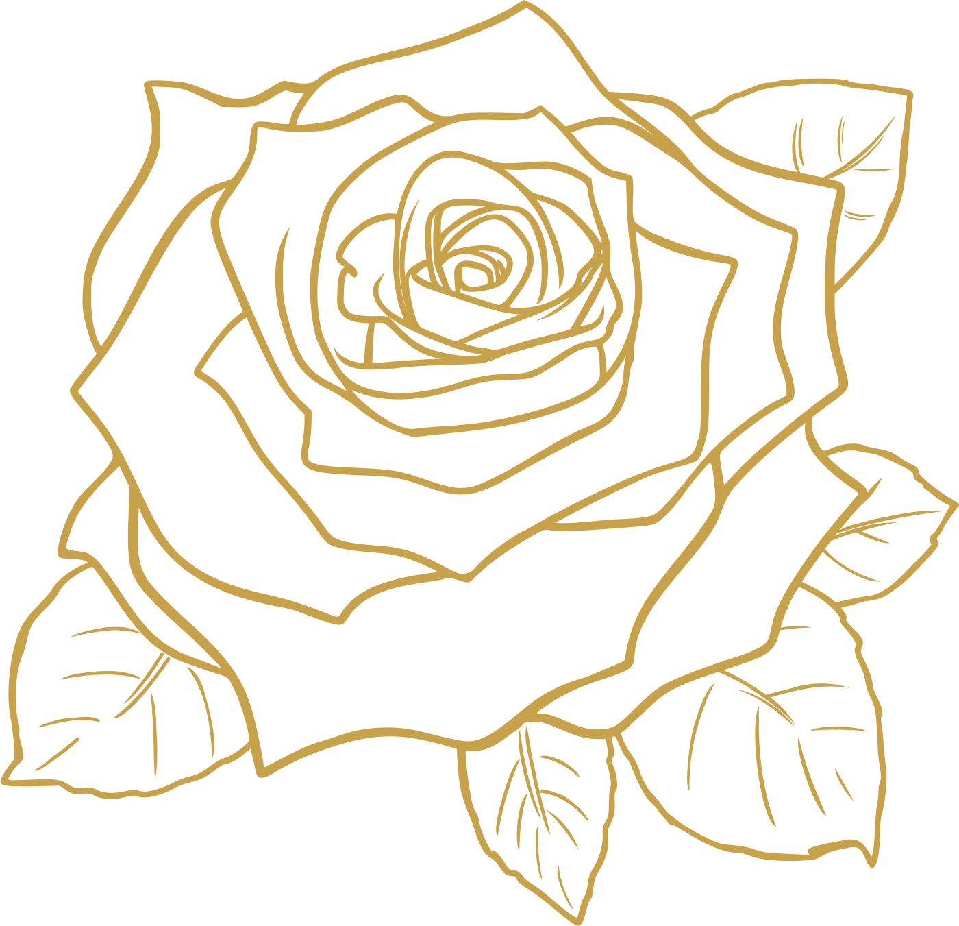 rosa lineal dorada